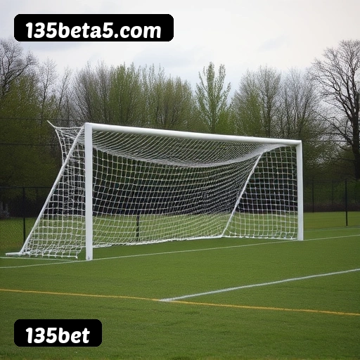 6 vantagens exclusivas do programa VIP da 135bet